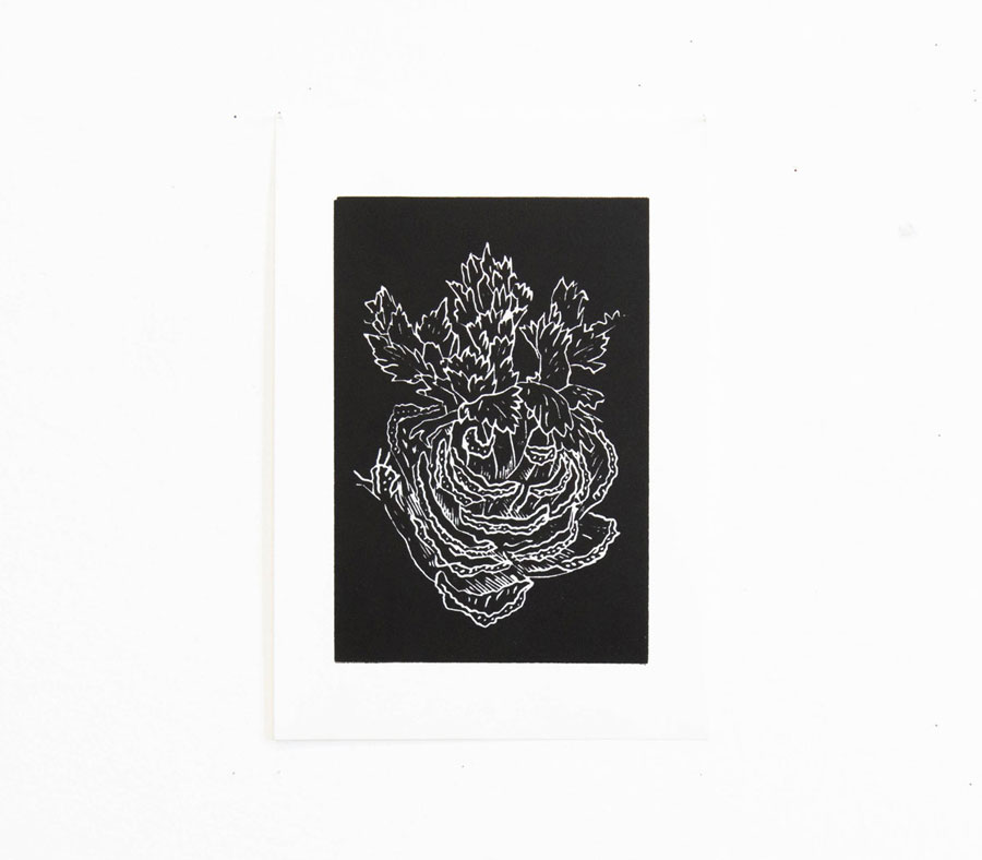 Impression en noir sur blanc d'une gravure sur bois d'une petite racine de céleri dont les feuilles ont repoussé.
