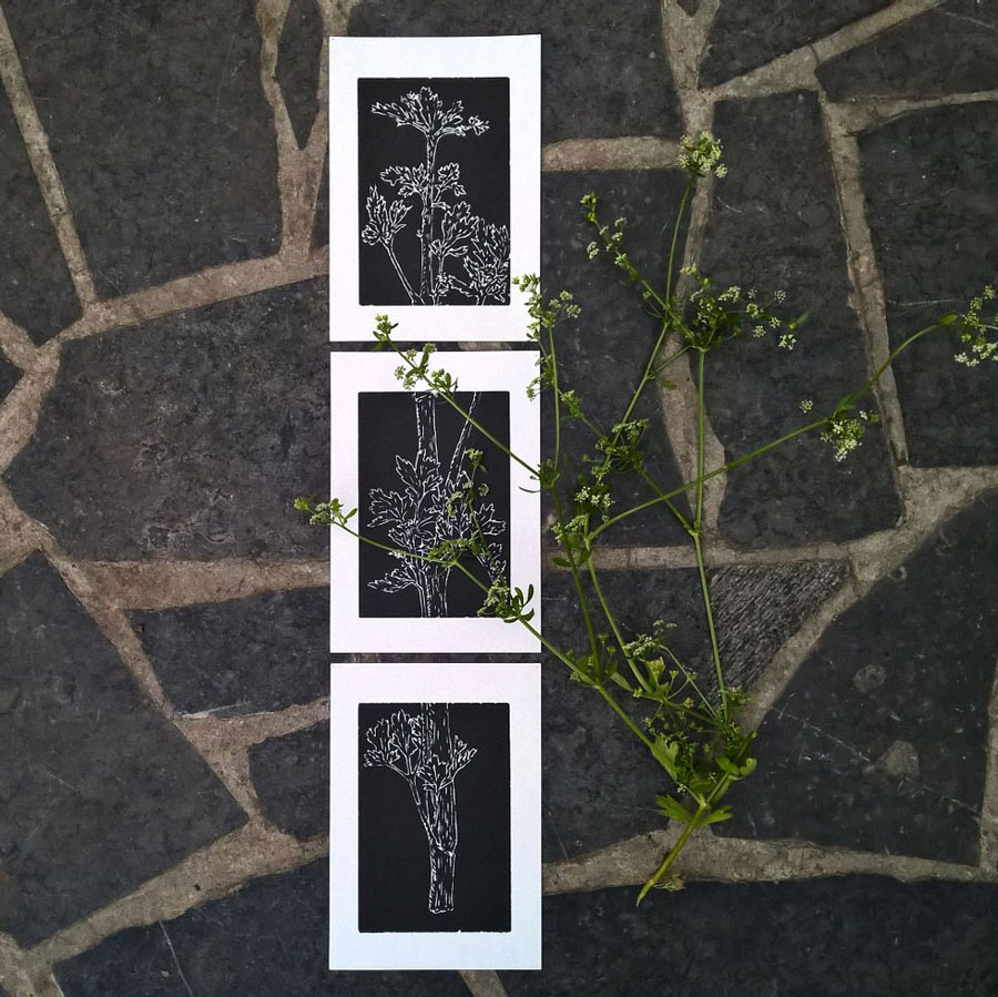 Impression en noir sur papier blanc, d'une gravure en trois partie représentant une branche de céleri repoussée à partir de déchets.