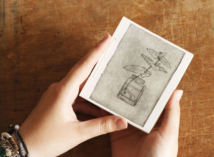 Micro-livre d'artiste de trois page, chacune illustrée d'une phase de développement d'une bouture de menthe.