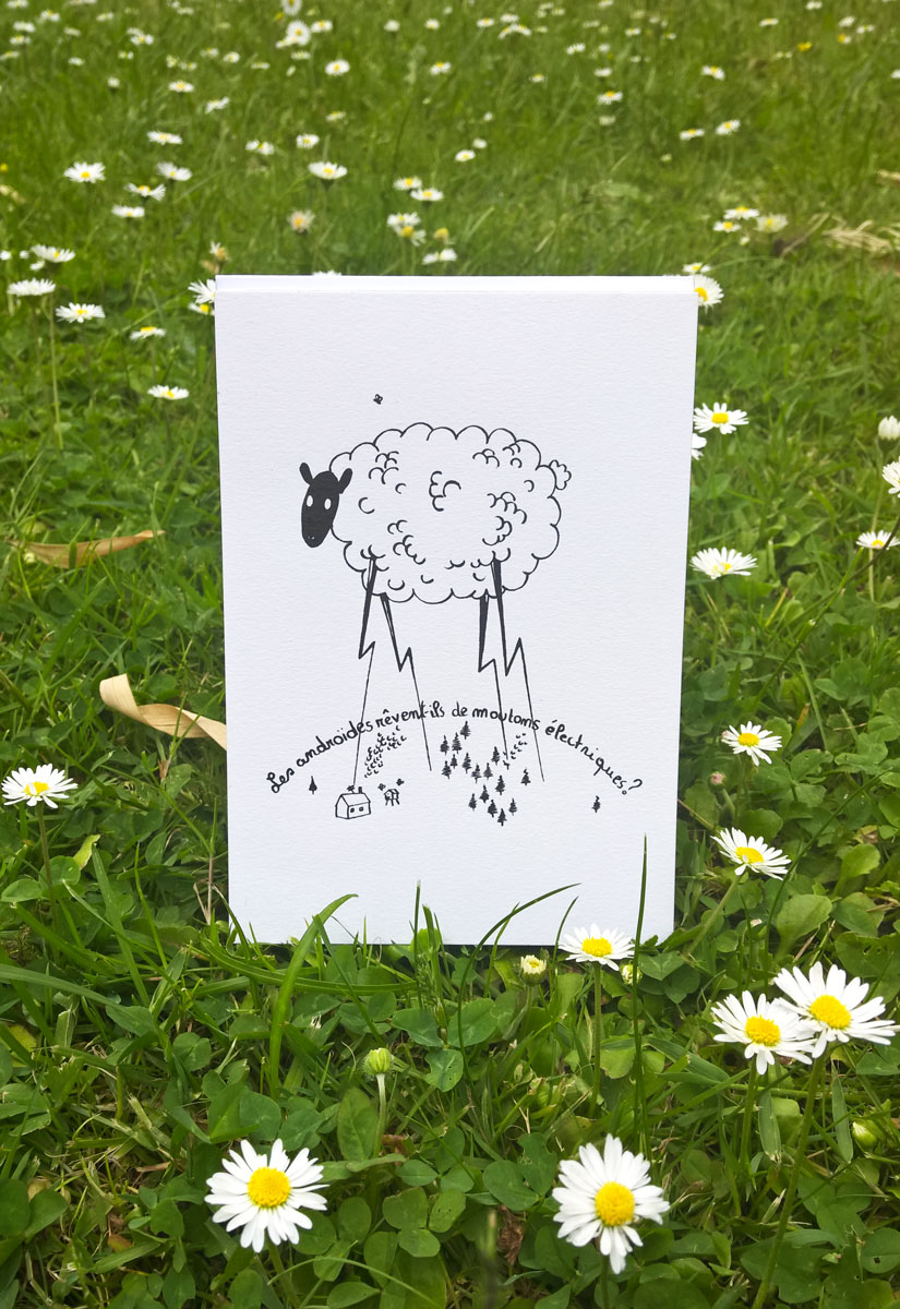 Illustration d'un petit mouton stylisé avec des pattes en forme d'éclairs. Le dessin est posé dans l'herbe au milieu des pâquerettes.