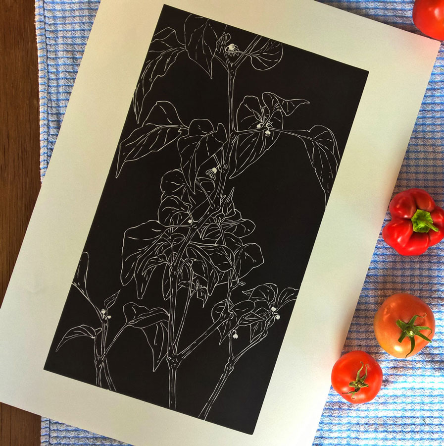 Impression d'une linogravure en noir sur papier blanc d'un plant de poivron faisant ses premières fleurs de l'année.